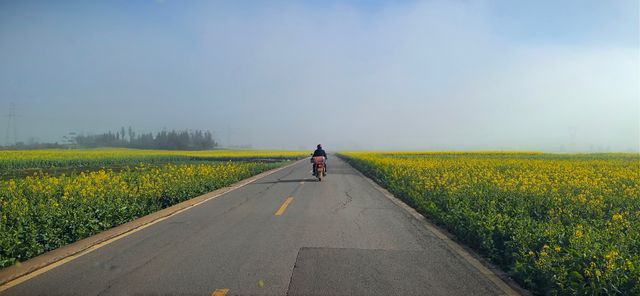 峰叢花田醉我心