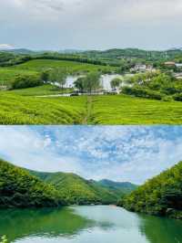 一半是湖水,一半是竹海,溧陽的美,超出你想像!