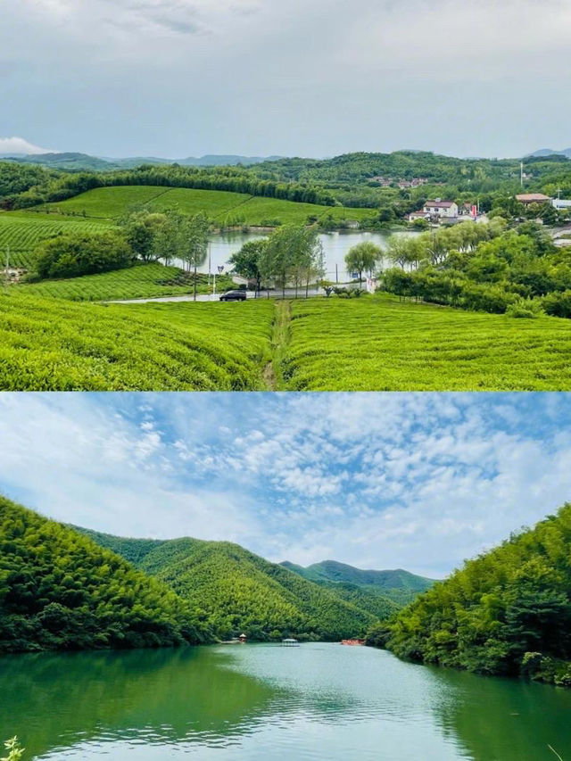 一半是湖水,一半是竹海,溧陽的美,超出你想像! 一半是湖水,一半是竹海,溧陽的美,超出你想像!