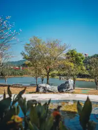 就在深圳超愛的免費寶藏遛娃地，超chill