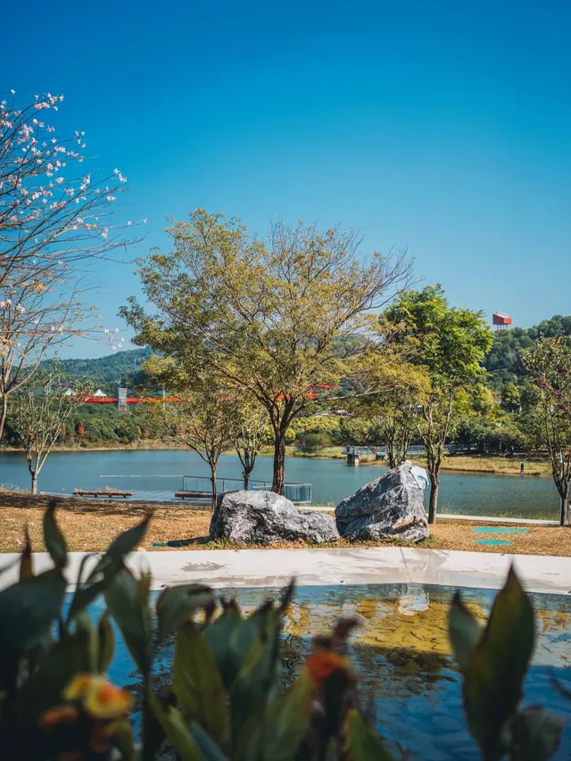 就在深圳超愛的免費寶藏遛娃地，超chill