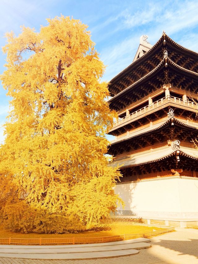 江浙滬嚴重被低估的寶藏古鎮!!附詳細攻略! 江浙滬嚴重被低估的寶藏古鎮!!附詳細攻略!