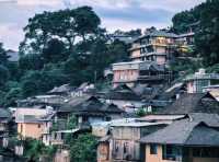 景邁山｜雲南最後的秘境，雲海古寨治癒一切