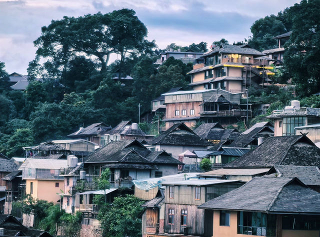 景邁山｜雲南最後的秘境，雲海古寨治癒一切
