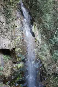 莫干山蔣公古道反穿10KM|楓葉超美