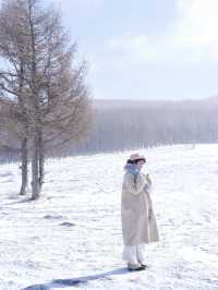 北京3h直達!樺皮嶺冬日封神攻略雪境拍照