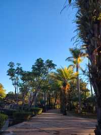 普洱這個小眾秘境，藏著最治癒的冬日暖陽