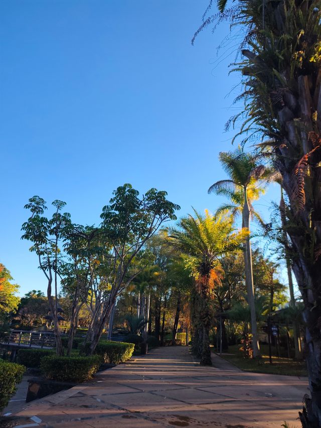 普洱這個小眾秘境，藏著最治癒的冬日暖陽