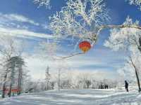 雪谷生存指南:零下30℃的童話世界,南方人也能活下來!