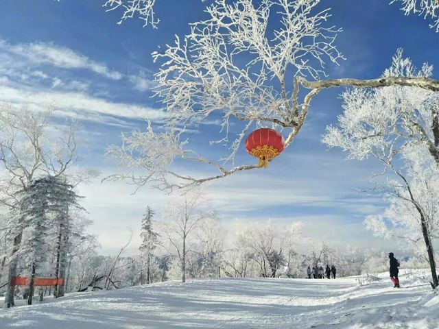 雪谷生存指南:零下30℃的童話世界,南方人也能活下來! 雪谷生存指南:零下30℃的童話世界,南方人也能活下來!