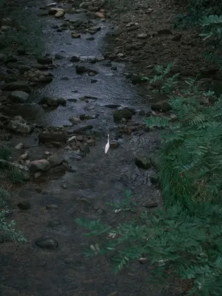 Plog｜Half-day Tour of Lingfeng Scenic Area! A Perfect Route for Taking Kids Out