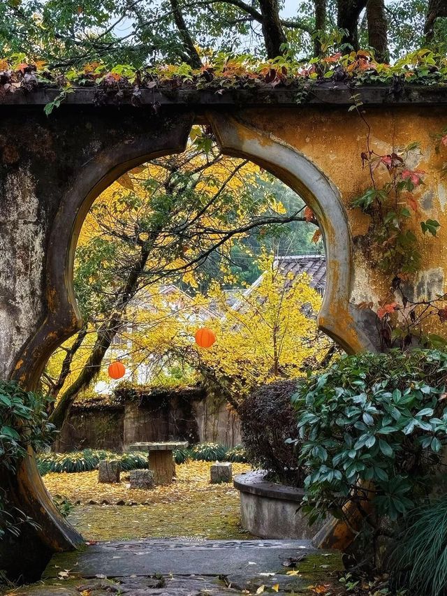 闖入福建深山!在銀杏高老莊做一日神仙 闖入福建深山!在銀杏高老莊做一日神仙