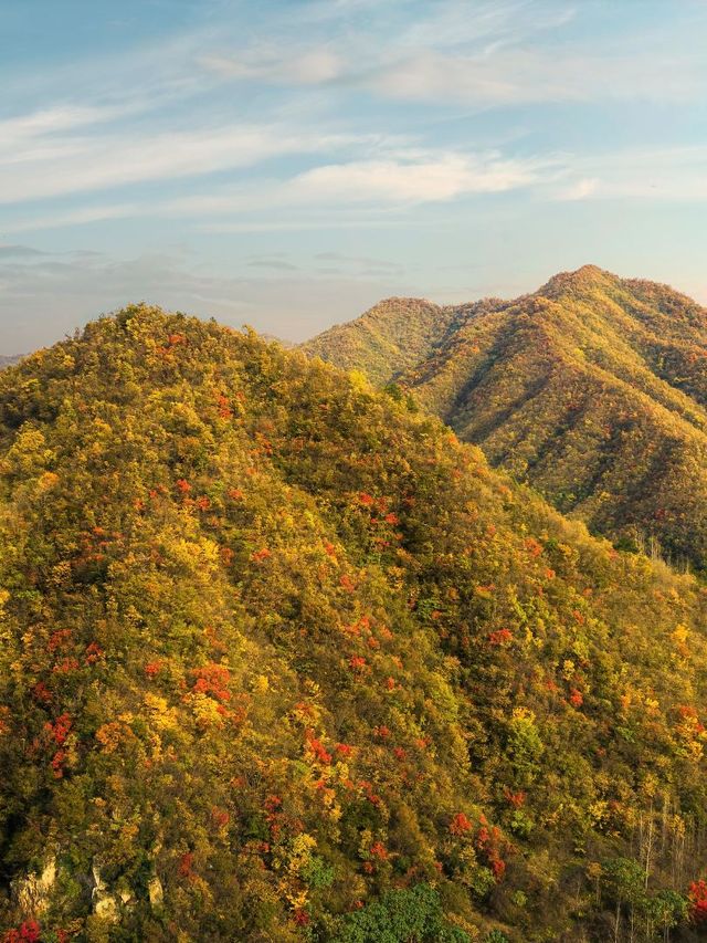 【洛陽旅行記事本】目的地性價及時令
