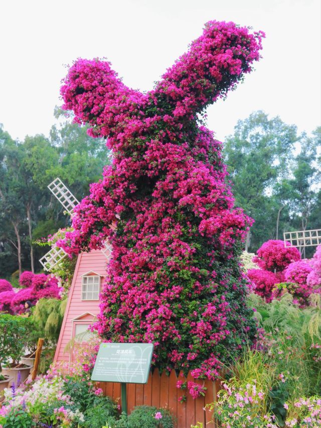 這裡風景獨好 這裡風景獨好