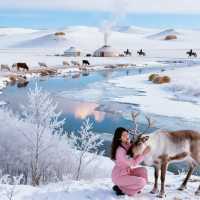 4天玩轉呼倫貝爾超全攻略速碼