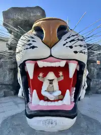 哈爾濱東北虎林園半日遊！！（內含攻略）