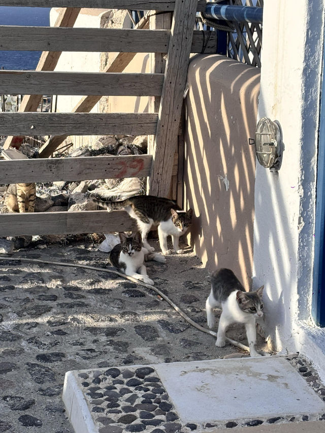 聖托里尼|把愛琴海的藍白浪漫焊進鏡頭裡好好看 聖托里尼|把愛琴海的藍白浪漫焊進鏡頭裡好好看