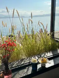 女大勇闖雲南已回！小團體驗後續