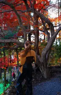 莫干山|一日賞楓11.30日