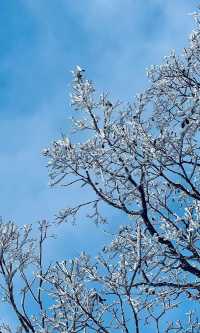 冰雪奇緣龍王山徒步踏, 雪賞霧淞