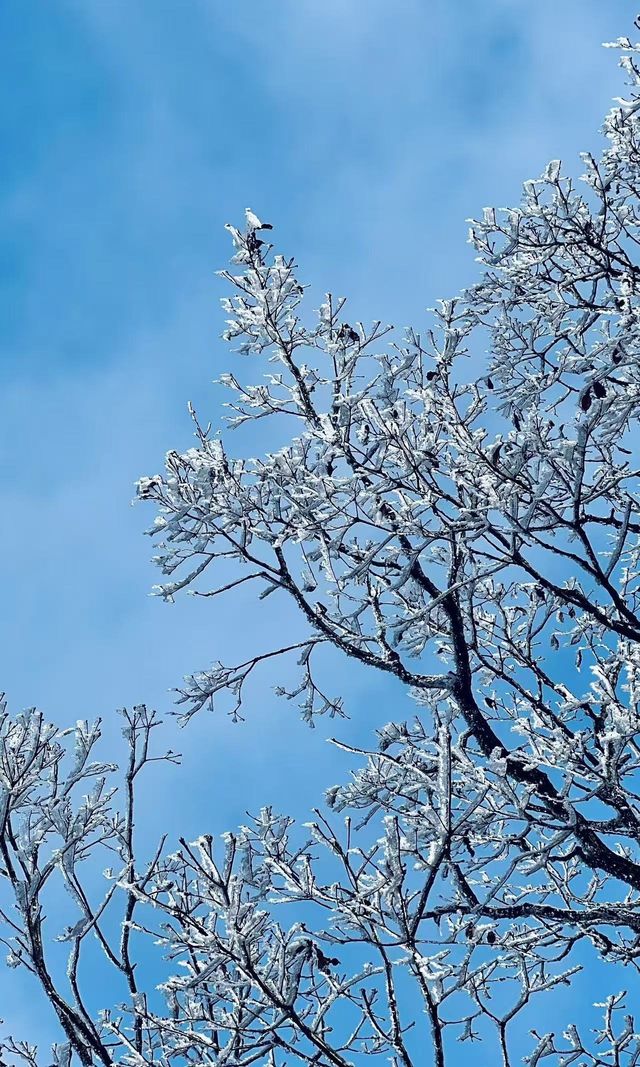 冰雪奇緣龍王山徒步踏, 雪賞霧淞 冰雪奇緣龍王山徒步踏, 雪賞霧淞