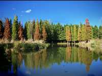 日落是溫柔，浪漫是和你一起看過的瞬間