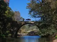 十三天，八個城市