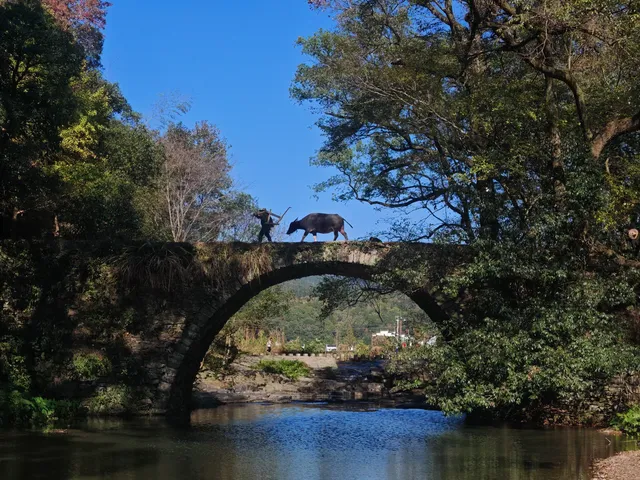 十三天，八個城市