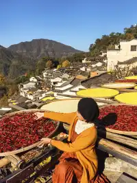 國家地理誠不我欺!婺源篁嶺曬秋絕了