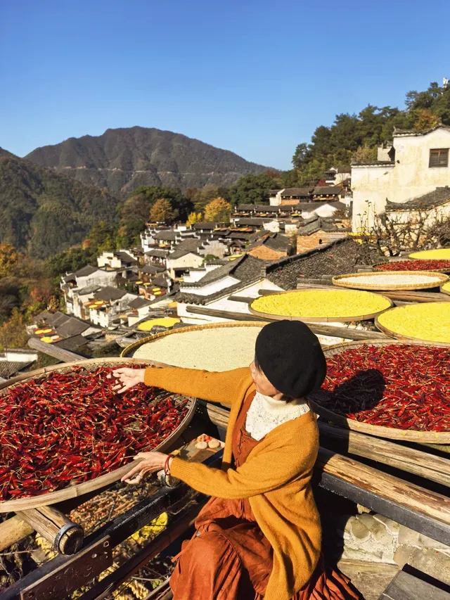國家地理誠不我欺!婺源篁嶺曬秋絕了 國家地理誠不我欺!婺源篁嶺曬秋絕了