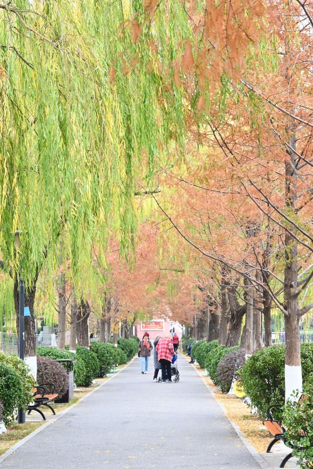 探訪寶島公園:都市中的靜謐一隅 探訪寶島公園:都市中的靜謐一隅