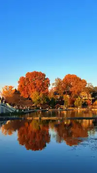 賞銀杏~一定要來玄武湖梁洲覽勝閣~