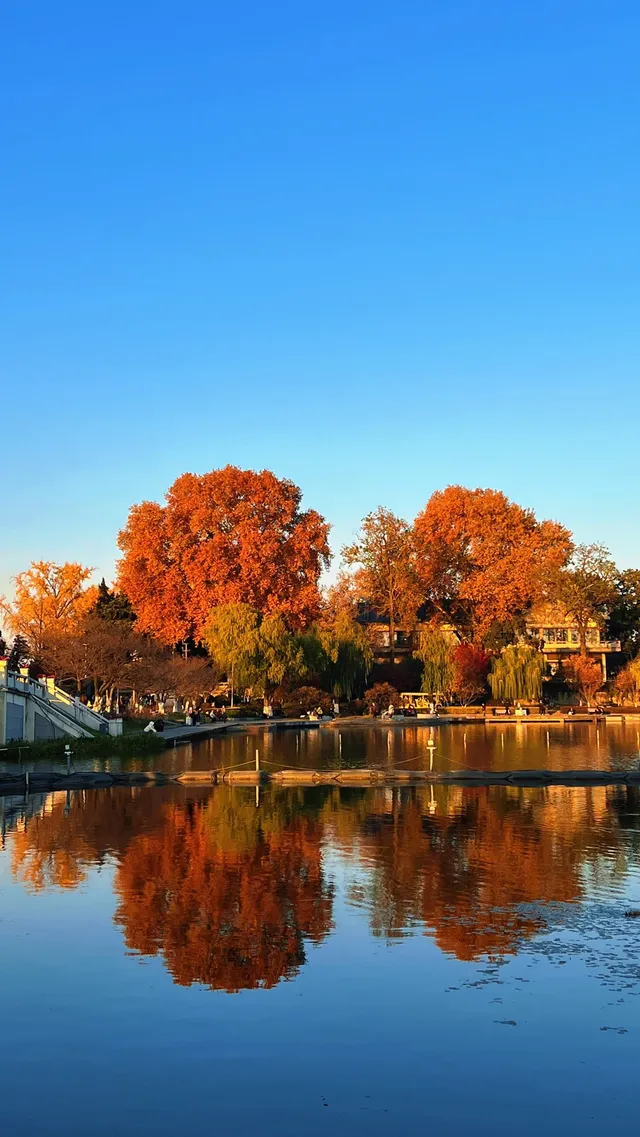 賞銀杏~一定要來玄武湖梁洲覽勝閣~ 賞銀杏~一定要來玄武湖梁洲覽勝閣~