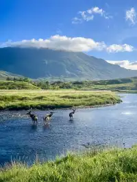 人生建議:離開英國前來一次這裡