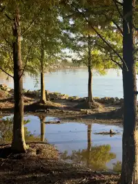 滴水湖攻略(附煙花、停車、路線及定位圖)