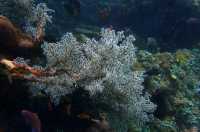 巴厘島,度假天堂