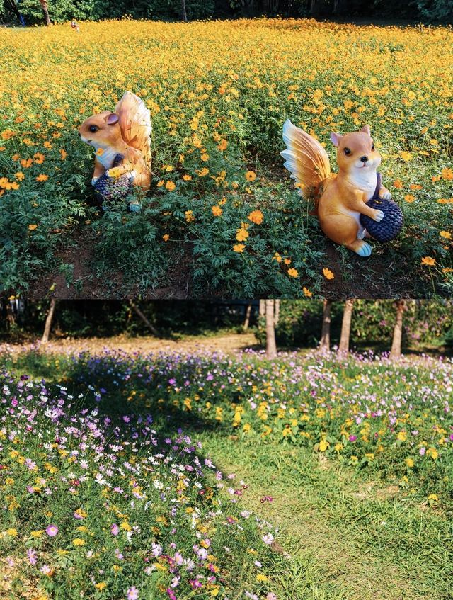 深圳0元打卡:黃秋英花海+萌系雕塑太出片 深圳0元打卡:黃秋英花海+萌系雕塑太出片