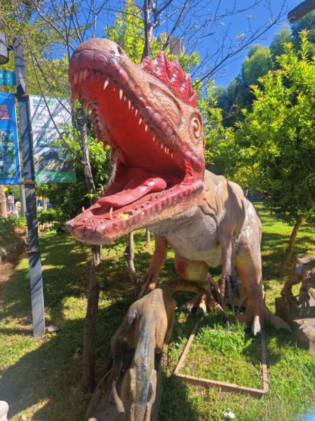 廈門小眾遛娃聖地集美果樂園一日遊攻略 廈門小眾遛娃聖地集美果樂園一日遊攻略