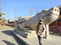 12月1日正定遊之開元寺