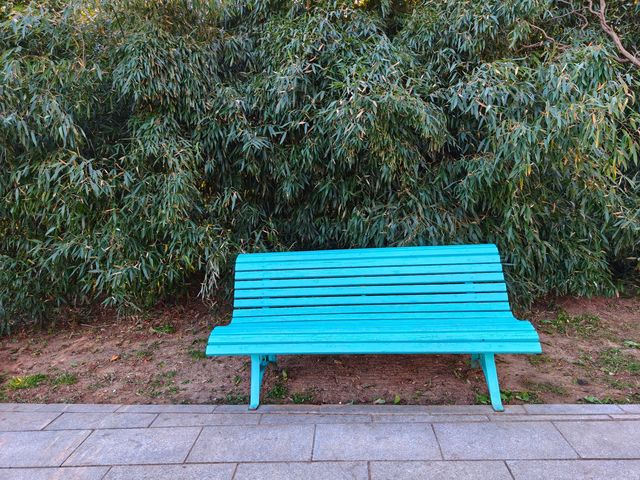 大連兩片超美竹林,第二個很少有人知道 大連兩片超美竹林,第二個很少有人知道