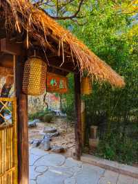 大連兩片超美竹林,第二個很少有人知道