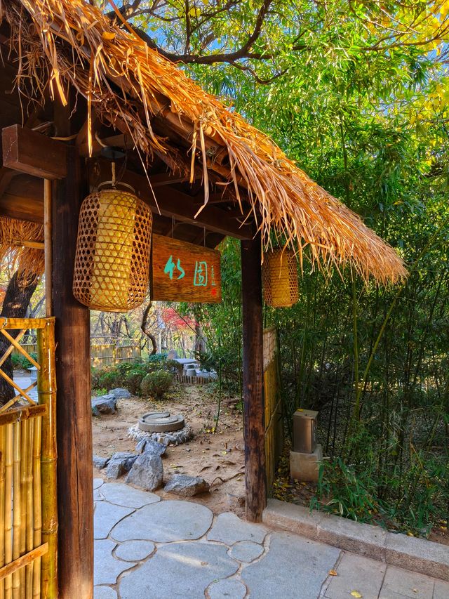 大連兩片超美竹林,第二個很少有人知道 大連兩片超美竹林,第二個很少有人知道