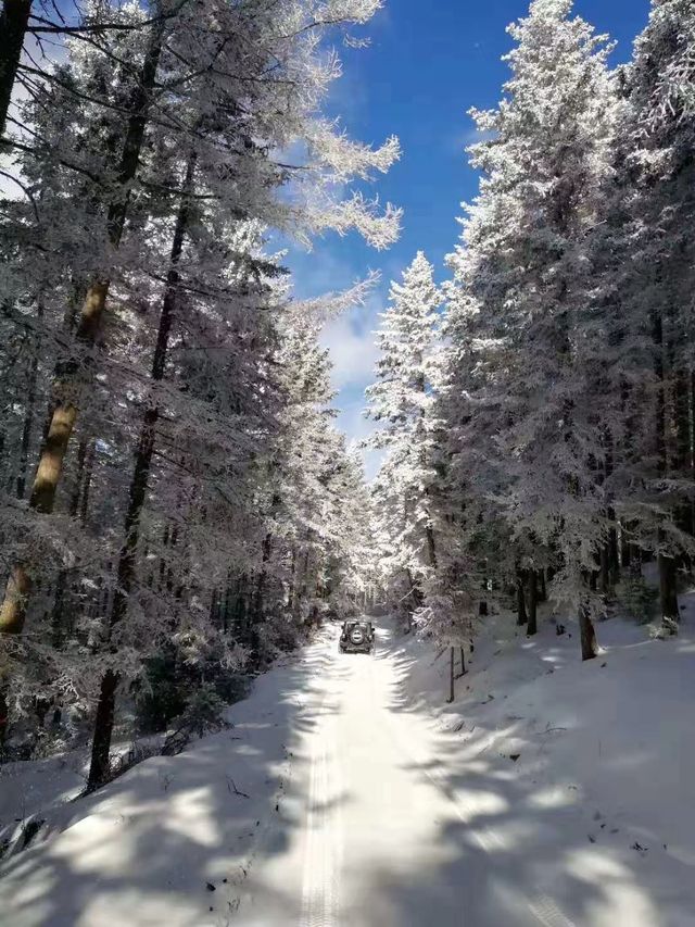 2025初雪赴一場蘆芽山冰雪奇緣!古堡溫泉全攻略 2025初雪赴一場蘆芽山冰雪奇緣!古堡溫泉全攻略