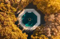 該怎麼向你描述南京的秋天呢