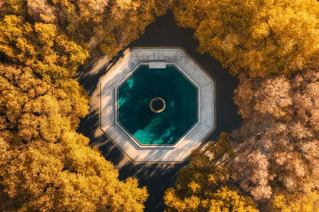 該怎麼向你描述南京的秋天呢 該怎麼向你描述南京的秋天呢