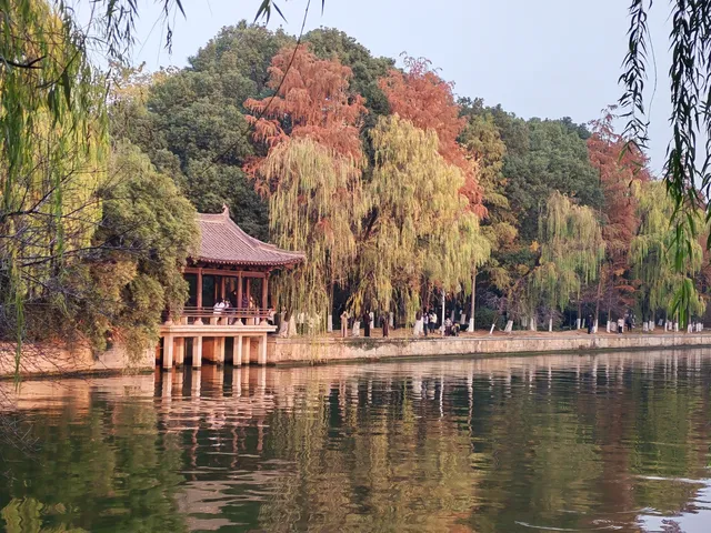 滿城盡飛黃金葉，紹興古城河清園秋色正迷人