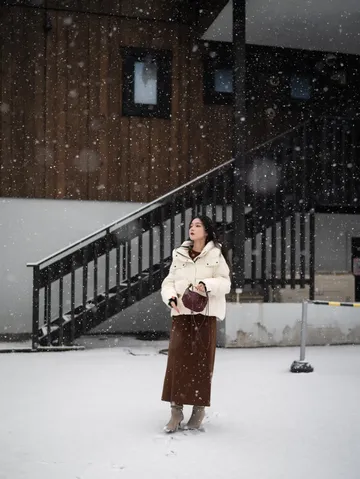 北海道雪又開始下了。