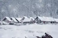 阿達西,今年的禾木我來看了