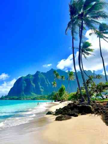 ホノルルのおすすめハイキング2026年（2月更新）| Trip Moments