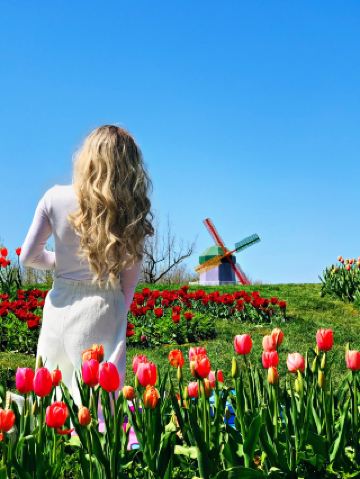 세상이 금잔을 사랑한다고 말하지 마세요, 언덕 위 꽃이 눈에 들어오는 것이 가장 기쁨입니다